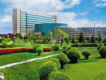 楊凌跑出“自貿加速度”