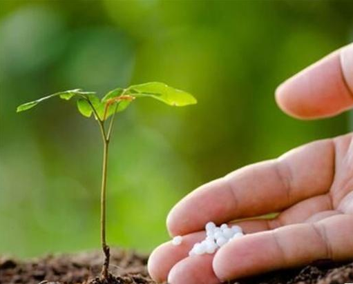 常見的幾種施肥誤區(qū)，施肥時(shí)應(yīng)注意哪些問題