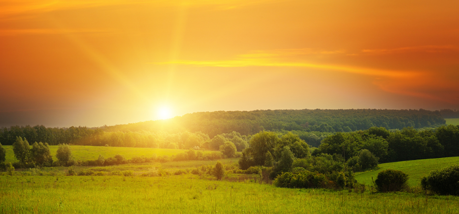 為什么把氮、磷、鉀稱為“肥料三要素”？