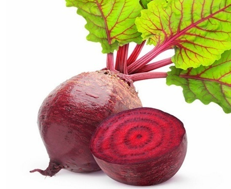 甜菜種植之施肥要點