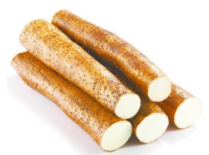 山藥栽培管理要點(diǎn)有哪些