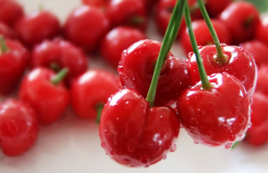 甜櫻桃硬核期怎么管理，這些措施很重要！ 