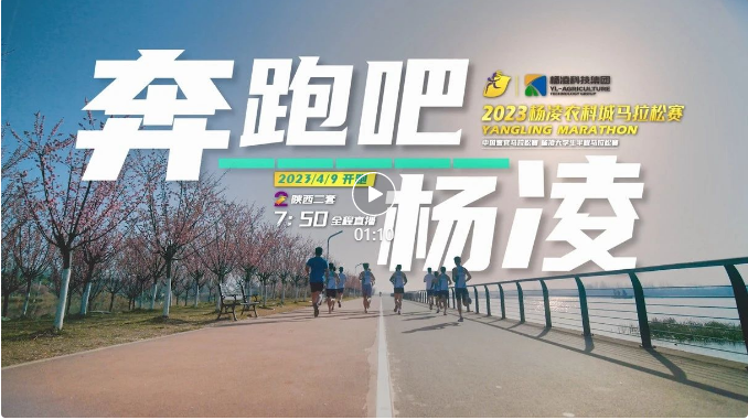 相約“楊馬” | 新賽道，新體驗！